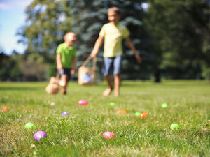 Supporting image for story: Search begins to hunt out brave youngsters for special tribute