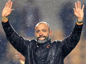 Supporting image for story: Mel Eves: Only complacency can stop Wolves