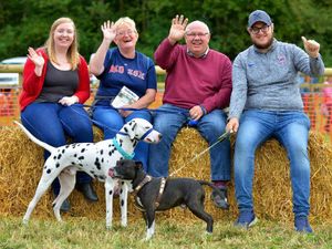 Supporting image for story: Beckbury Show is a real rural treat for thousands - with pictures

