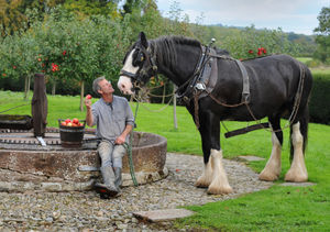 Simon Trueman with 'Alfie' next to the stone cider mill at Acott Scott Historic Working Farm