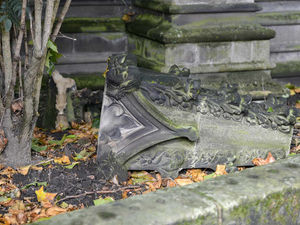 Supporting image for story: High winds and rain cause havoc across county