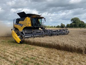 Supporting image for story: RVT's pride as New Holland products earn acclaim and recognition