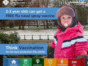 Supporting image for story: 'Flu can make young children very sick, very quick': Health bosses urge Shropshire parents to vaccinate children as soon as possible