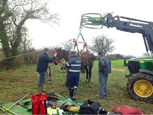The rescue operation. Photo: @SFRSWellington