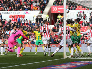 Supporting image for story: Have your say: West Brom end of season survey