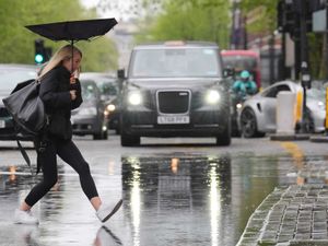 Supporting image for story: Retail sales make subdued recovery as washout summer dries up