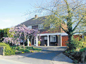 Supporting image for story: Properties of the Week