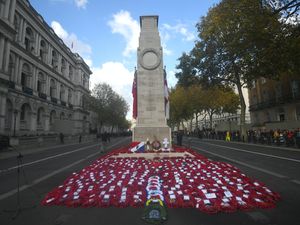 Supporting image for story: Guidance published for Remembrance Sunday events ahead of second lockdown