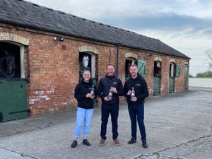 Supporting image for story: New Shropshire gin named after Oliver Townend's horse Carousel Quest 