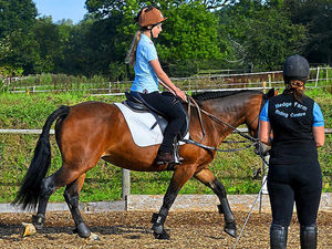 Supporting image for story: Hundreds sign petition in bid to save Shropshire riding centre