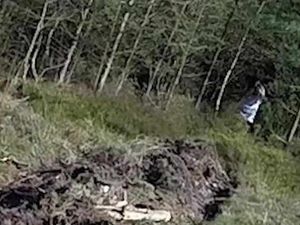 Supporting image for story: 999 operators take 57 calls of supernatural silliness