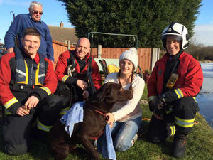 Supporting image for story: Firefighters rescue Dexter the dog who fell through canal ice after chasing ducks