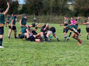 Supporting image for story: Ravens are left reeling by late blow at leaders