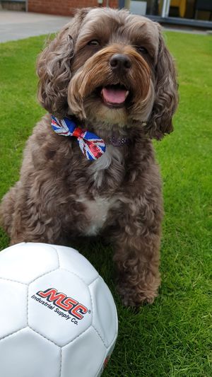 Manny from Telford: Watching the match with family eating takeaway and drinking cocktails
