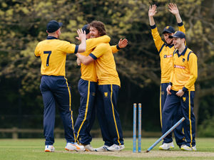 Supporting image for story: Shropshire finish with a Twenty20 split 