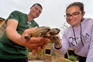 Liam Hayward shows Natasha Parker a tortoise