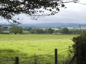 Supporting image for story: Shropshire smallholdings seek agent