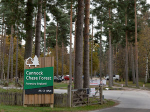Supporting image for story: WATCH: Ecologist speaks in support of controversial Cannock Chase proposals