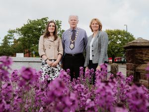 Supporting image for story: Bid to get Market Drayton looking blooming marvellous