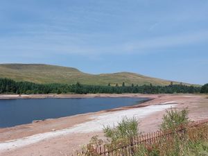 Supporting image for story: Drought declared in part of Wales after heatwave and low rainfall