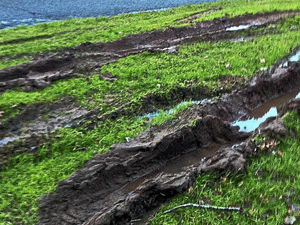 Supporting image for story: Police may take action over poor parking outside Telford International Centre