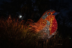 Chester Zoo's magical lanterns and light trail has opened.