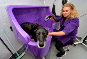 Lorna gives her dog Jess a relaxing shower