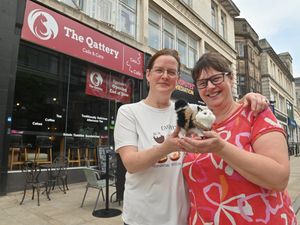 Supporting image for story: 'I'm setting up Wolverhampton's first ever cat cafe after rescuing 19 cats in Qatar so that we can give them all the love they need'