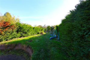 A large garden. Pic: Pughs/Rightmove