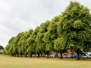 Supporting image for story: Three youths arrested after 17-year-old boy stabbed in Oswestry park