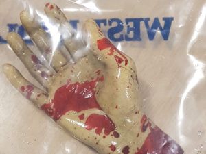 Supporting image for story: Police find 'bloody hand' floating in canal in Wolverhampton