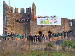 Supporting image for story: Dudley Zoo's website crashes as limited edition passes go on sale