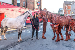 Silver meets Joey with Hippodrome Chief Executive and Artistic Director, Fiona Allan