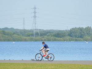 Supporting image for story: Mystery over spate of bird deaths at Chasewater