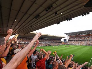 Supporting image for story: Premier League season tickets: How the Wolves prices compare to other clubs
