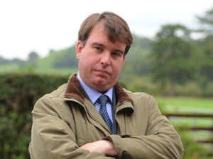 Supporting image for story: Welcome news in mid Wales as British lamb exported to US for first time in decades