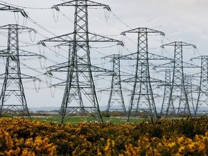 Supporting image for story: Q&A: Would price cap pledged by Tories result in lower energy bills?