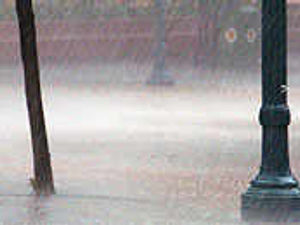 Supporting image for story: Rain sparks road chaos fear