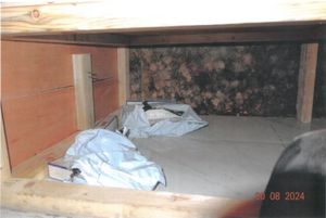 Packets of illicit cigarettes found hidden at One Stop Wolverhampton