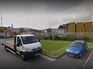 Supporting image for story: King's Award for garden products maker