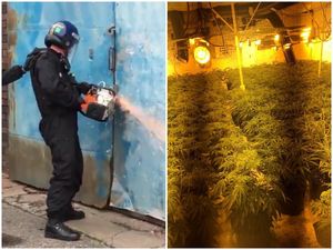 Supporting image for story: Huge cannabis haul found in Wolverhampton factory unit worth £2.5m 
