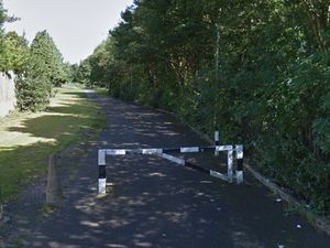 Supporting image for story: Flasher exposes himself in front of children in park