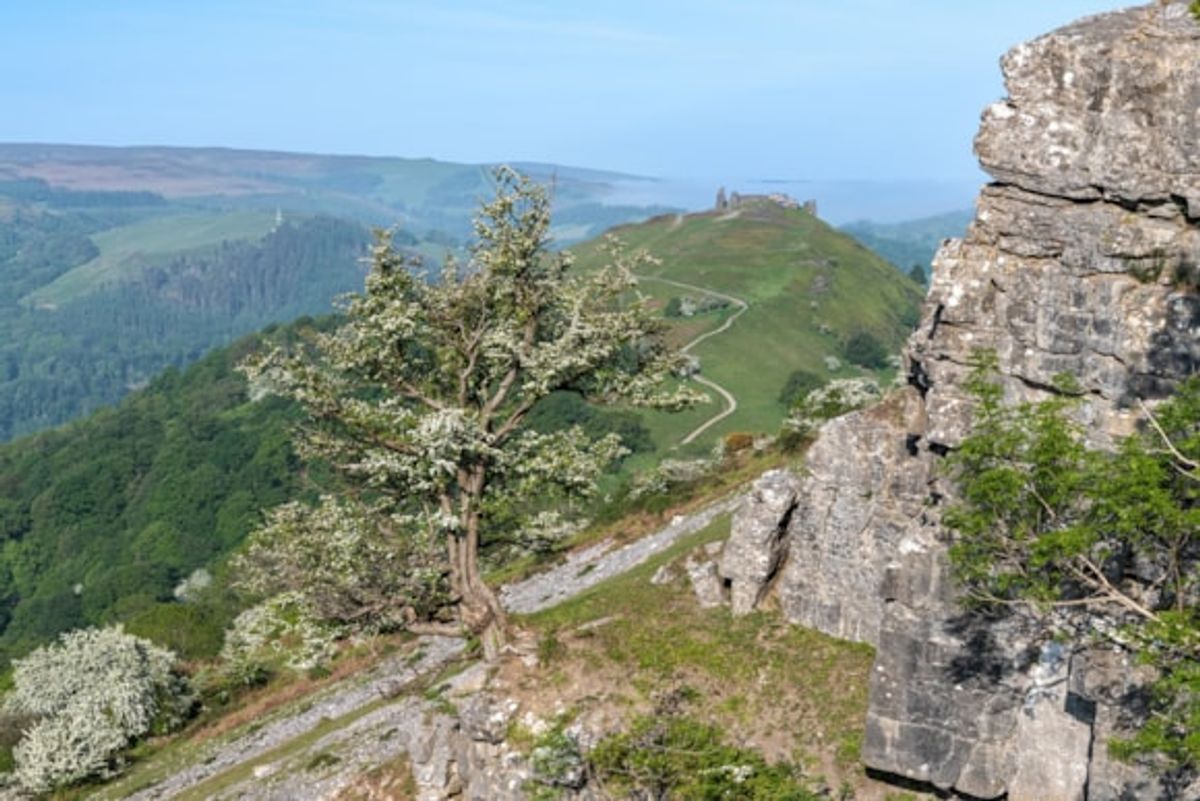 Consultation opens on the proposed Glyndŵr National Park, which covers part of Powys