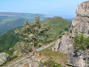 Supporting image for story: Consultation opens on the proposed Glyndŵr National Park, which covers part of Powys