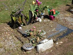 Supporting image for story: Daughter's upset over messy Wolverhampton grave