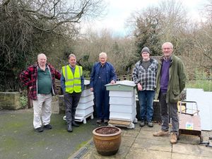 Supporting image for story: Building firm keeping Shropshire bees buzzing