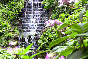 Dorothy Clive Garden