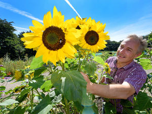 Supporting image for story: Nature bringing people together: Meet the community gardeners from Walsall