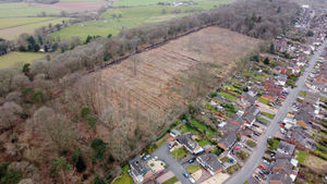 Tree felling is taking place at Ridgehill Woods, Wordsley