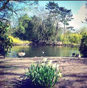 The pool at West Park in Wolverhampton